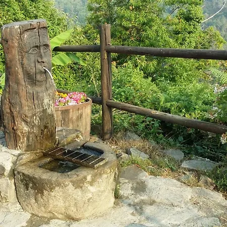 Aia Dei Limoni Tivegna