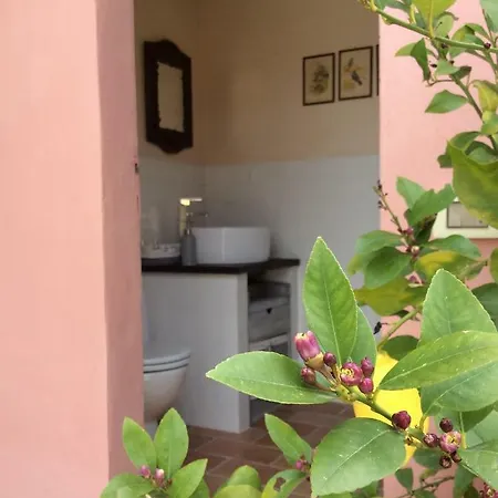 Aia Dei Limoni