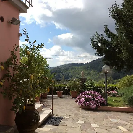 Aia Dei Limoni
